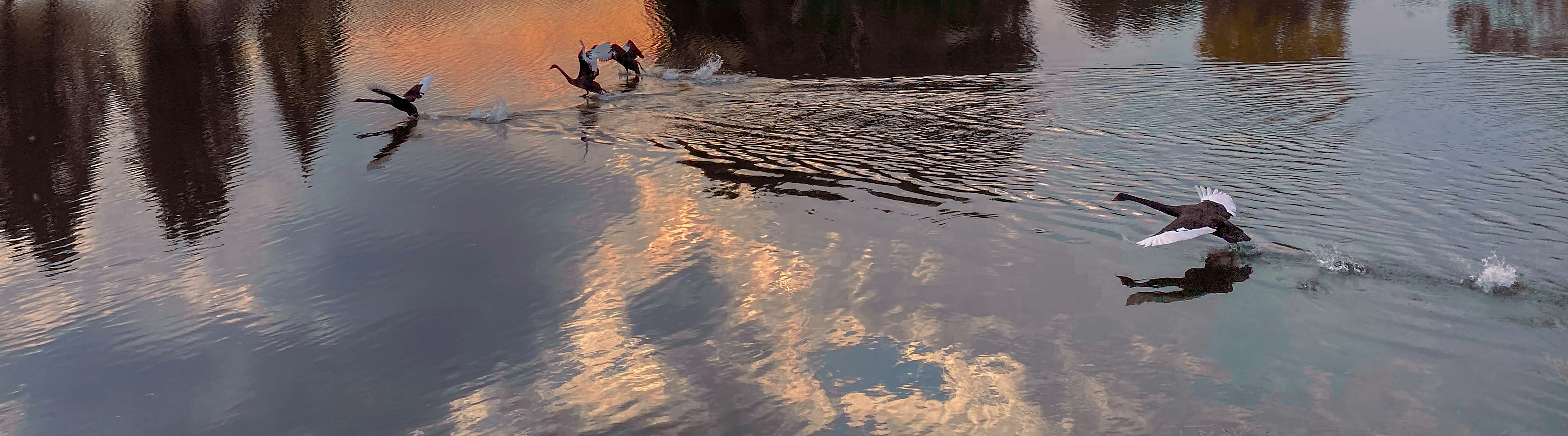 people in water during daytime